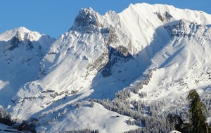 Coupe du monde de VTT aux Gets